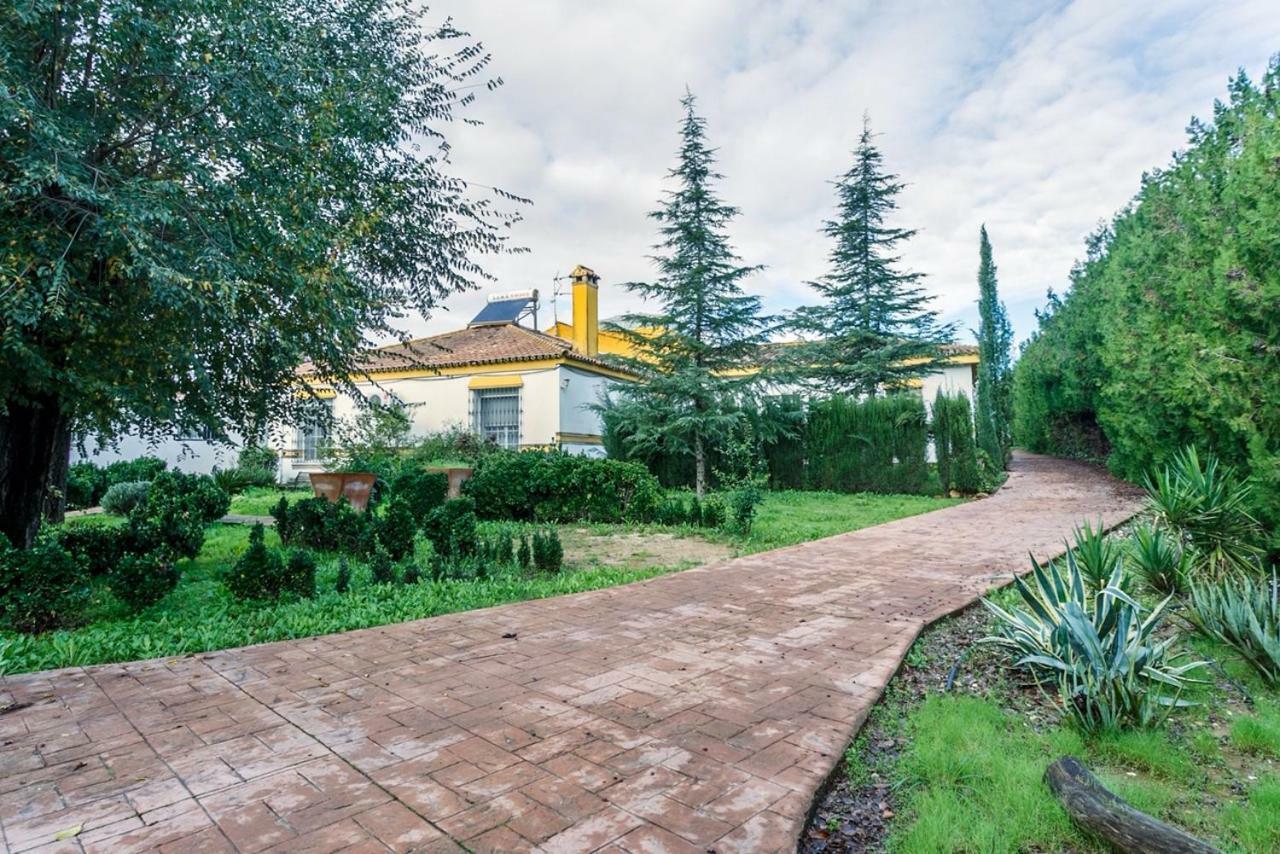Casa Elizabeth Palomares del Río Exterior foto